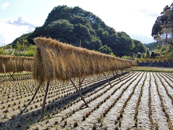 田舎の風景